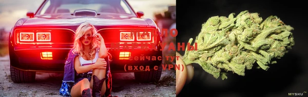 сатива Бугульма