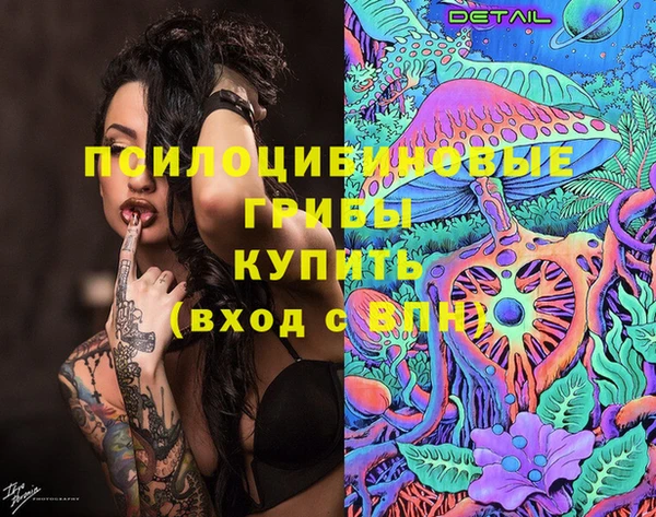 сатива Бугульма