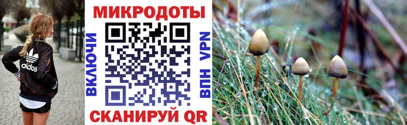 Галлюциногенные грибы Cubensis  Купить где  Белебей 